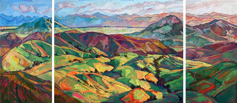 Shades of California - Contemporary Impressionism Paintings by Erin Hanson